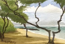 Kauai Artwork by Hawaii Artist Emily Miller - Ironwoods at Bullshed beach