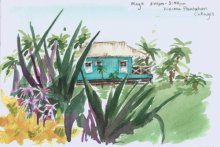 Kauai watercolor artwork by Hawaii Artist Emily Miller - Blue Cottage at Waimea Plantation Cottages - Pochade Challenge