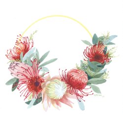 Kauai Artwork by Hawaii Artist Emily Miller - Protea Wreath
