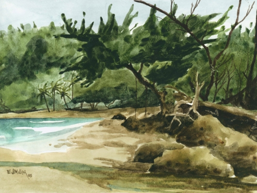 Plein Air at Moloaa Beach Kauai watercolor painting - Artist Emily Miller's Hawaii artwork of beach, ocean, moloaa, stream art
