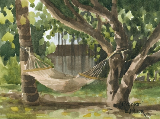 Hammock at Waimea Plantation Cottages Kauai watercolor painting - Artist Emily Miller's Hawaii artwork of banyan, tree, hammock, waimea plantation cottages, waimea art