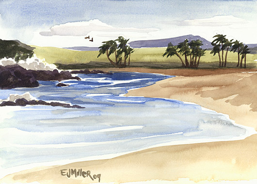South Baby Beach, Salt Pond, 2009