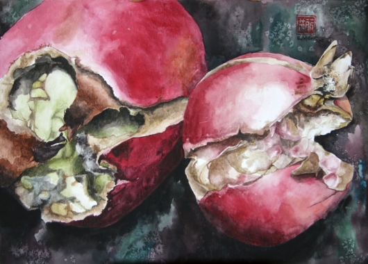 Gorgeous and Rotten - Pomegranates Kauai watercolor painting - Artist Emily Miller's Hawaii artwork of fruit, pink, red, pomegranate art