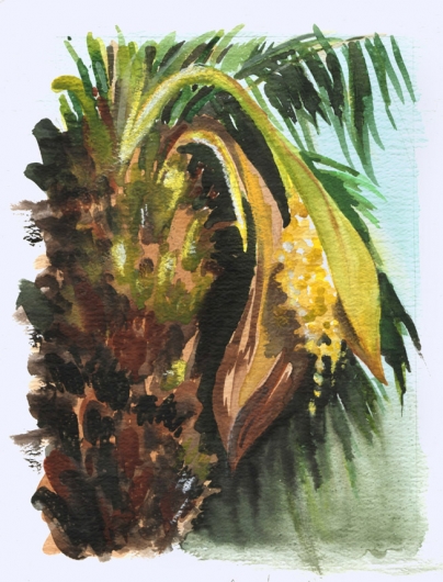 Palm Tree Flowering - Pochade Challenge Kauai watercolor painting - Artist Emily Miller's Hawaii artwork of palm tree art