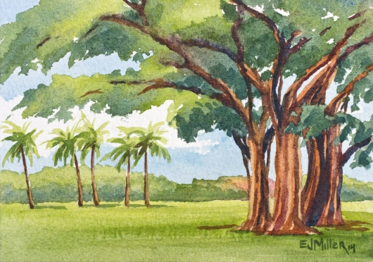 Banyan Tree at Waimea Plantation Cottages Kauai watercolor painting - Artist Emily Miller's Hawaii artwork of banyan, tree, waimea plantation cottages, waimea art