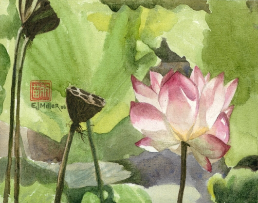 Lotus (Pond) Kauai watercolor painting - Artist Emily Miller's Hawaii artwork of flower, lotus, pink, NTBG art
