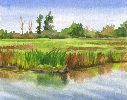 Fernhill Wetlands autumn view, Oregon watercolor painting by Emily Miller