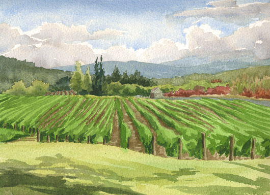 Montinore Vineyard, Oregon watercolor painting by Emily Miller