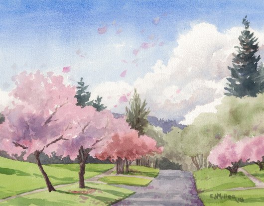 Cherry Blossom Road, Oregon watercolor painting - cherry blossoms artwork by Emily Miller