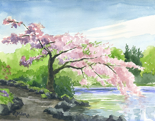 Cherry Tree over Crystal Springs Lake, Portland Oregon watercolor art by Emily Miller