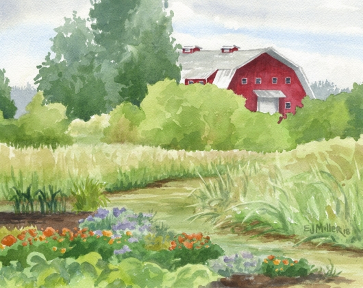 Red Barn at Luscher Farm, Oregon painting, Lake Oswego watercolor artwork by Emily Miller