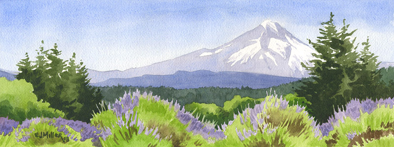Mt. Hood from the Lavender Fields, Oregon lavender artwork by Emily Miller