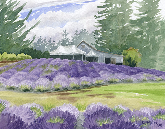 Mist at Wayward Winds Lavender, Oregon lavender painting by Emily Miller