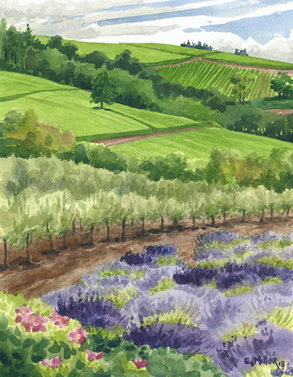 Lavender and Olive Groves, Oregon lavender painting by Emily Miller