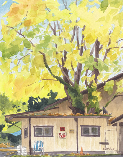 Radke Maple House, Portland Oregon watercolor artwork, tree painting by Emily Miller