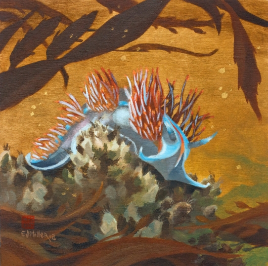 Nudibranch painting, tidepool painting by Emily Miller