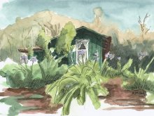 Kauai Artwork by Hawaii Artist Emily Miller - Plein Air, Kokee CCC Cabin