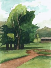 Kauai Artwork by Hawaii Artist Emily Miller - Plein Air, Kokee Meadow