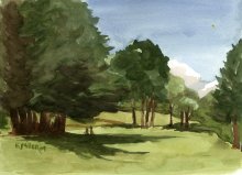 Kauai watercolor artwork by Hawaii Artist Emily Miller - Plein Air at Kokee Meadow