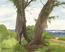 Kauai Artwork by Hawaii Artist Emily Miller - Kapaa Shoreline, Ironwoods