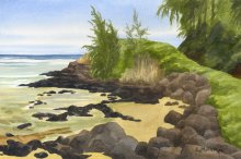 Kauai Artwork by Hawaii Artist Emily Miller - Anini Cove