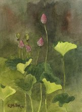 Kauai Artwork by Hawaii Artist Emily Miller - Lotus Buds