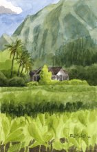 Kauai Artwork by Hawaii Artist Emily Miller - Hanalei Taro Fields