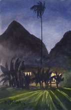 Kauai Artwork by Hawaii Artist Emily Miller - Night at Waimea Plantation Cottages