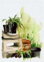 Kauai Artwork by Hawaii Artist Emily Miller - Backyard - Pochade Challenge