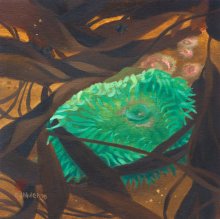 Tidepool Gems - Giant Green Anemone - Hawaii watercolor by Emily Miller
