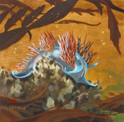 Tidepool Gems - Opalescent Nudibranch - Hawaii watercolor by Emily Miller