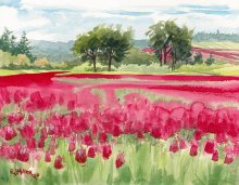 Red Clover Bloom - Hawaii watercolor by Emily Miller