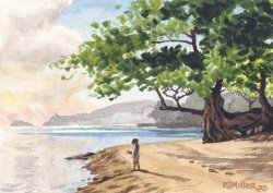 Kauai Artwork by Hawaii Artist Emily Miller - Sun Glow at Anini Beach