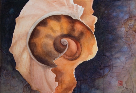 Geometry of Shells Kauai watercolor painting - Artist Emily Miller's Hawaii artwork of  art