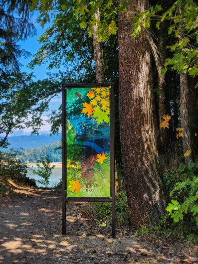  Elks, Wonder Windows -  artwork by Emily Miller