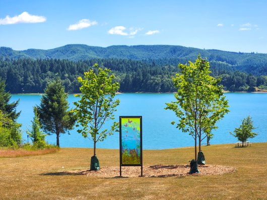  Bobcat Cove, Wonder Windows -  artwork by Emily Miller
