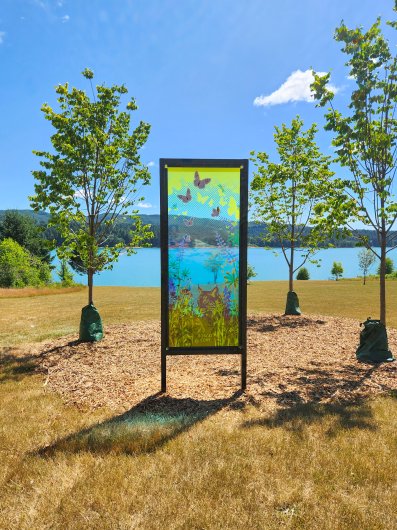  Bobcat Cove, Wonder Windows -  artwork by Emily Miller