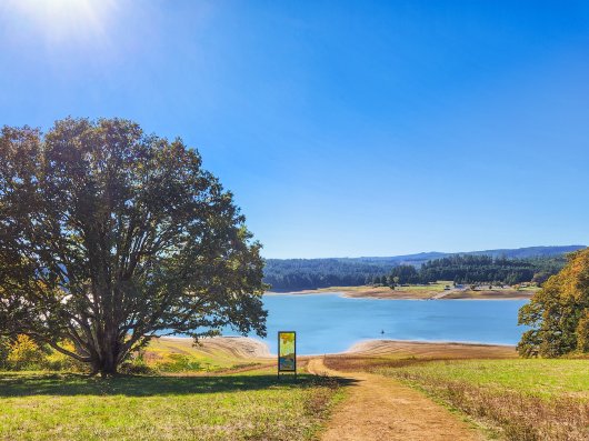 Mega Basket, Ghost Net Baskets -  artwork by Emily Miller
