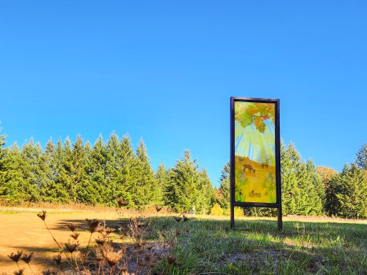 Mega Basket, Ghost Net Baskets -  artwork by Emily Miller