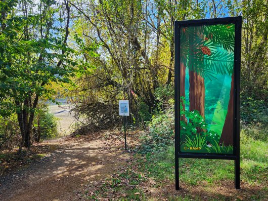  C-Ramp South Trail, Wonder Windows -  artwork by Emily Miller