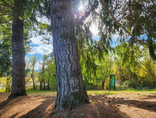  C-Ramp South Trail, Wonder Windows -  artwork by Emily Miller