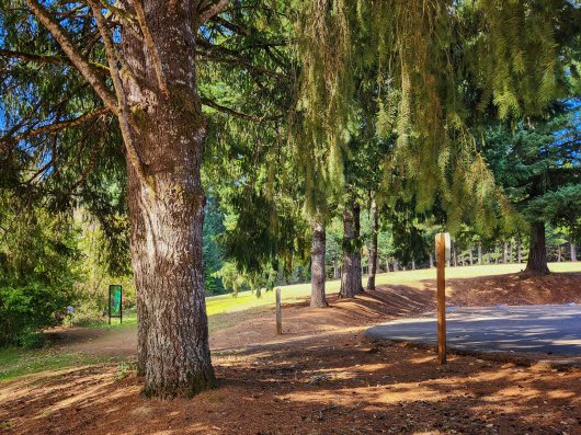  C-Ramp South Trail, Wonder Windows -  artwork by Emily Miller