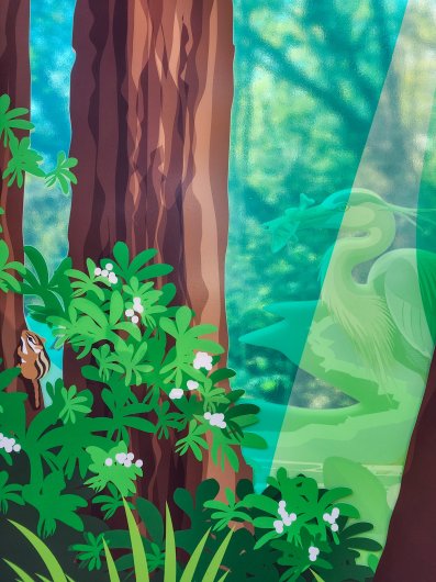  C-Ramp South Trail, Wonder Windows -  artwork by Emily Miller