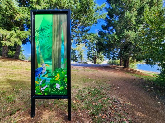  C-Ramp South Trail, Wonder Windows -  artwork by Emily Miller