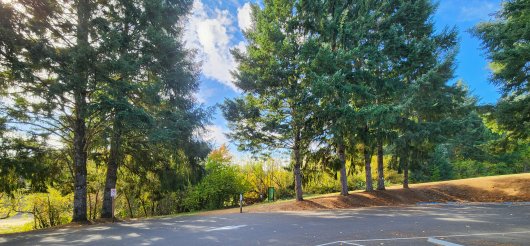  C-Ramp South Trail, Wonder Windows -  artwork by Emily Miller