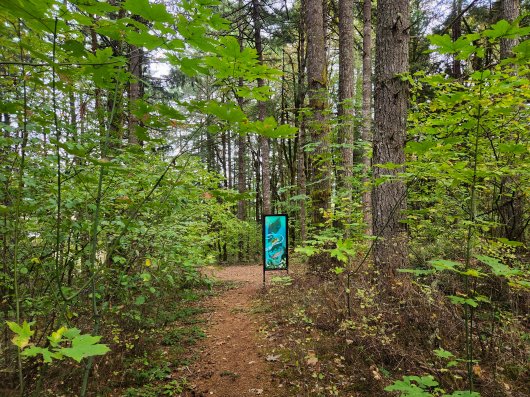 Mega Basket, Ghost Net Baskets -  artwork by Emily Miller