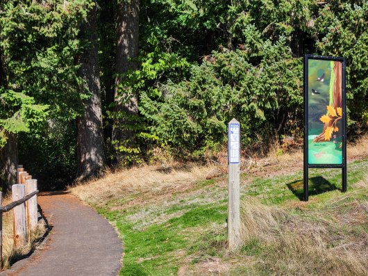 Mega Basket, Ghost Net Baskets -  artwork by Emily Miller