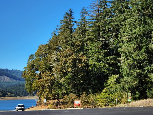 Mega Basket, Ghost Net Baskets -  artwork by Emily Miller