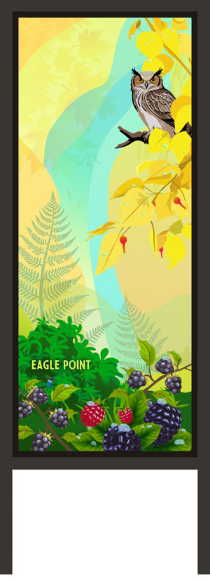 Eagle Point South Trail, 2025