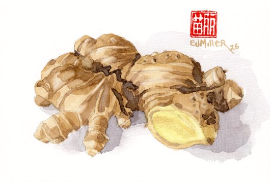Ginger Root, 2026